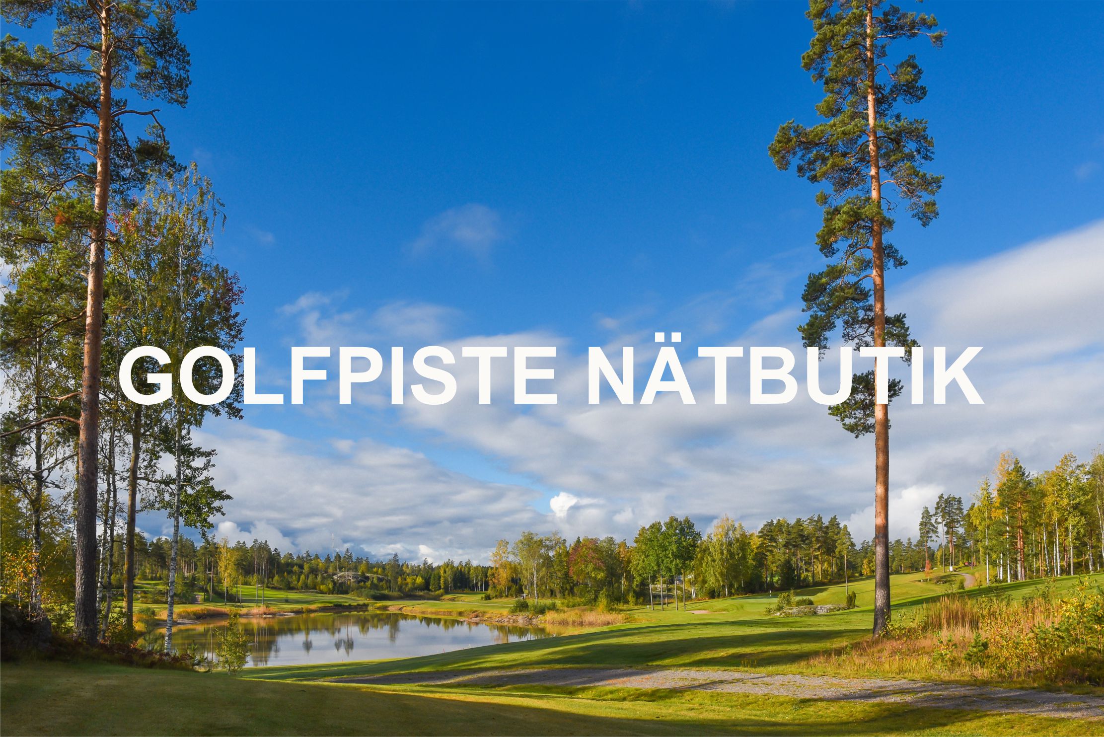 golfpiste nätbutik